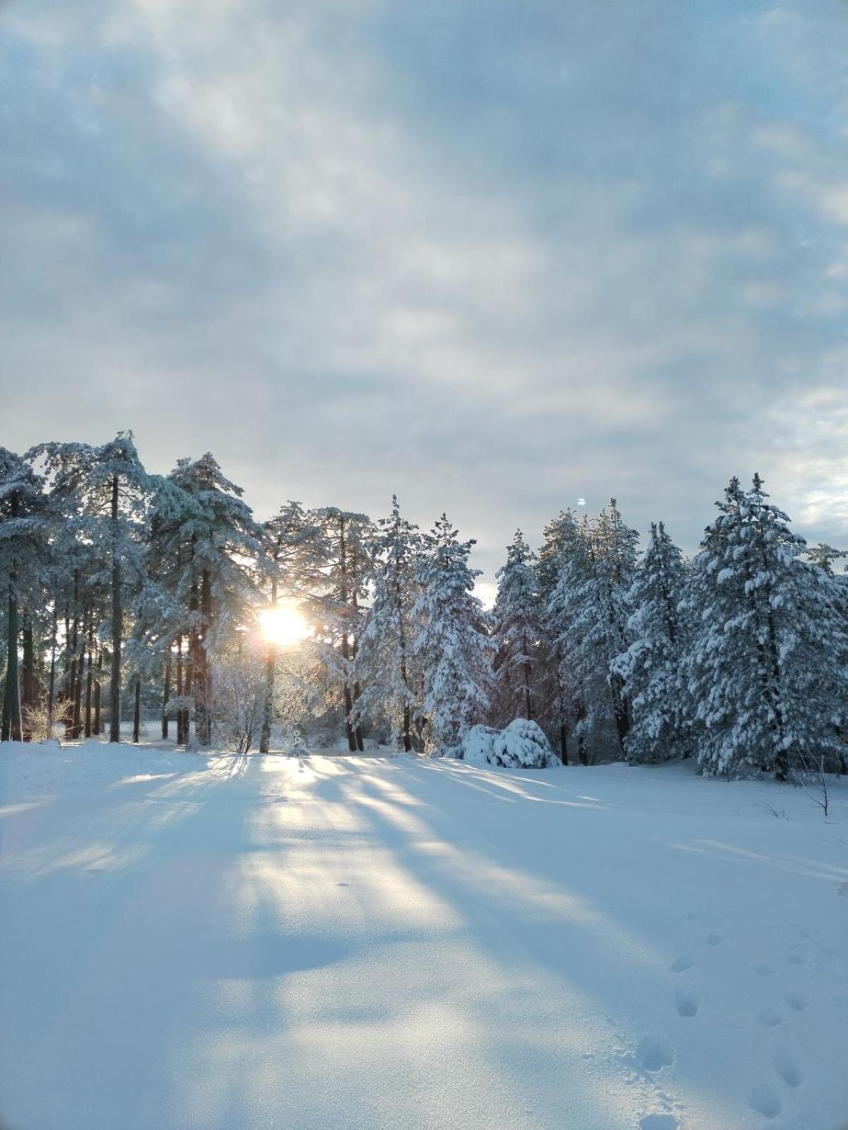 Apartman Pahuljica Tara Kaludjerske Bare Esterno foto